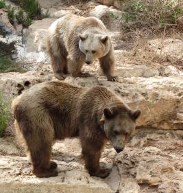 Reviewer avatar
